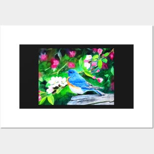 Eastern Bluebird in Blossoms Watercolor Painting Posters and Art